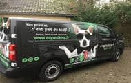 www.dogwalking.fr