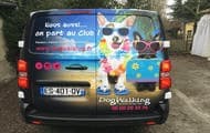 www.dogwalking.fr