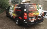 www.dogwalking.fr