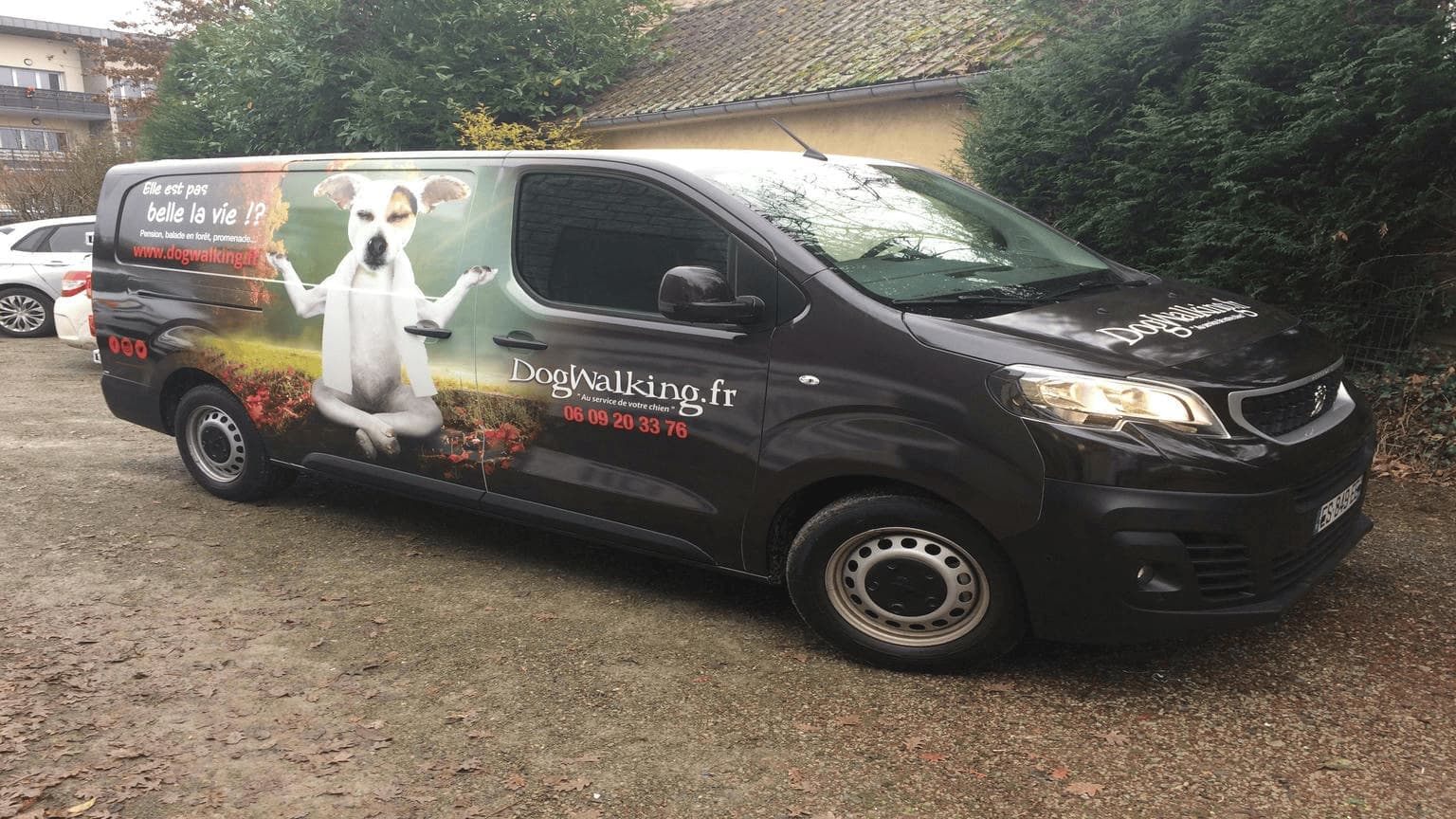 www.dogwalking.fr