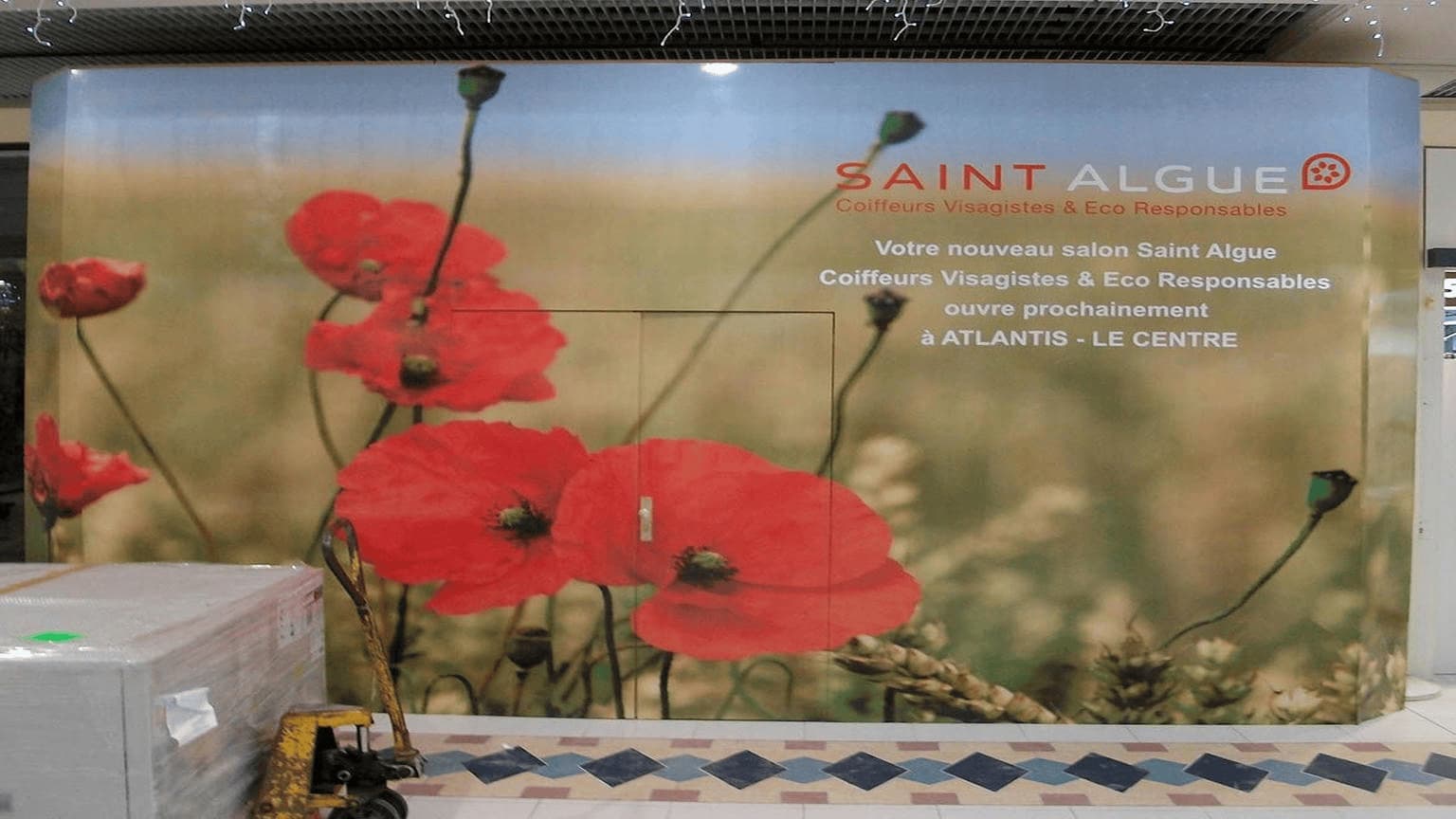 Saint Algue